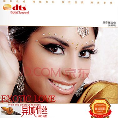 张文俊 – 异域情丝