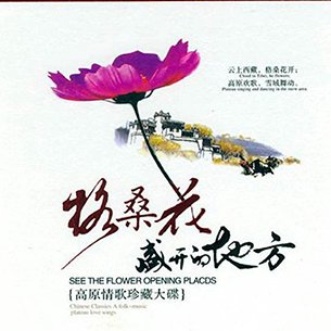 格桑花盛开的地方