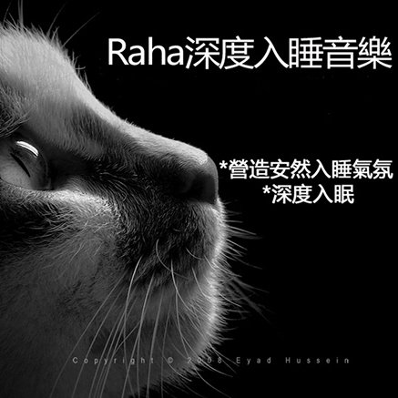 群星《RAHA深度睡眠音乐》