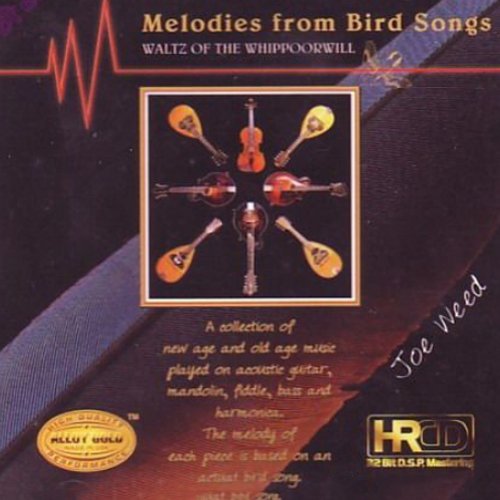 雀鸟的乐章 TOP MUSIC