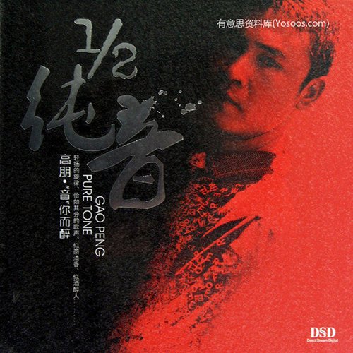 高鹏 – 二分之一纯音 音你而醉(试音碟)