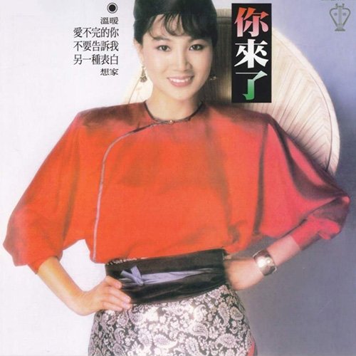 凤飞飞-《你来了》