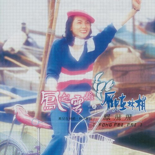 凤飞飞-《凤起云拥之雁儿在林梢》