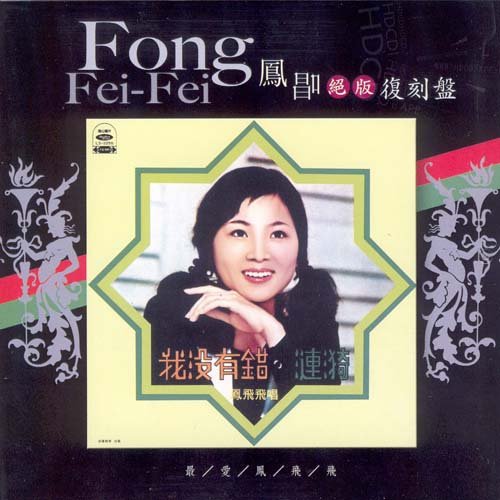 凤飞飞-《我没有错》