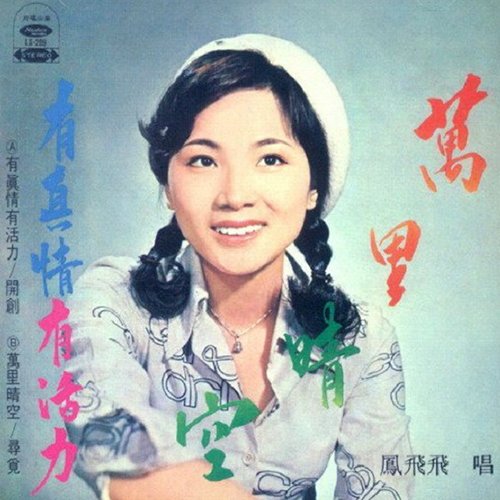 凤飞飞-《有真情有活力》