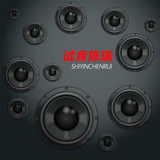 陈瑞-《试音陈瑞 》