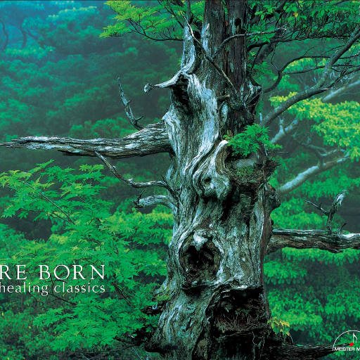 [SONY自购]-再生 (Re Born) (5.6MHz DSD)
