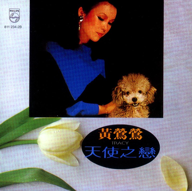 黄莺莺-《天使之恋》