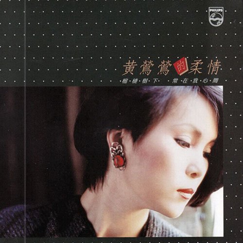 黄莺莺-《柔情》