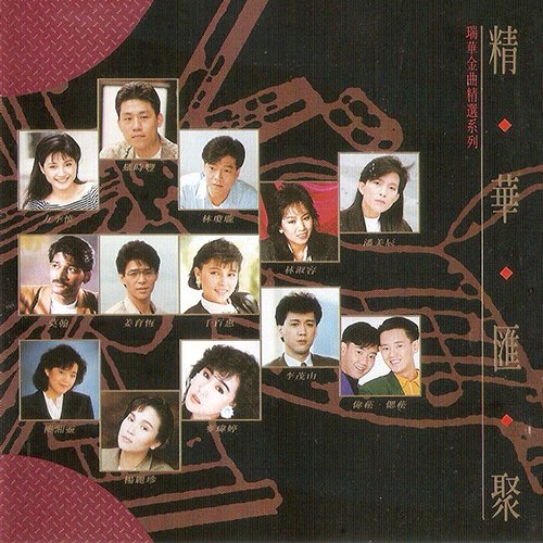 瑞华金曲精选系列·精华汇聚
