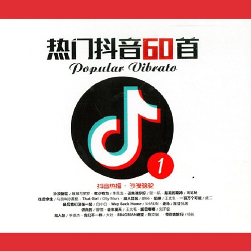 2018 热门抖音60首