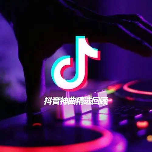 2019年抖音神曲精选回顾 2019