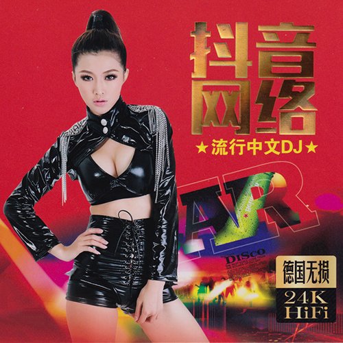 抖音网络流行中文DJ