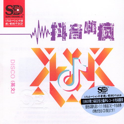 模拟之声慢刻CD 抖音嗨疯DISCO英文版