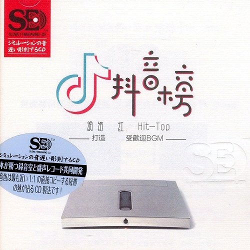 模拟之声慢刻CD 抖音榜