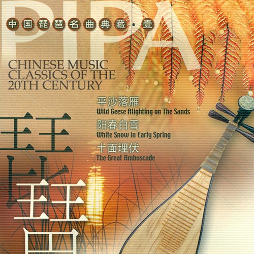 中国琵琶名曲典藏·壹