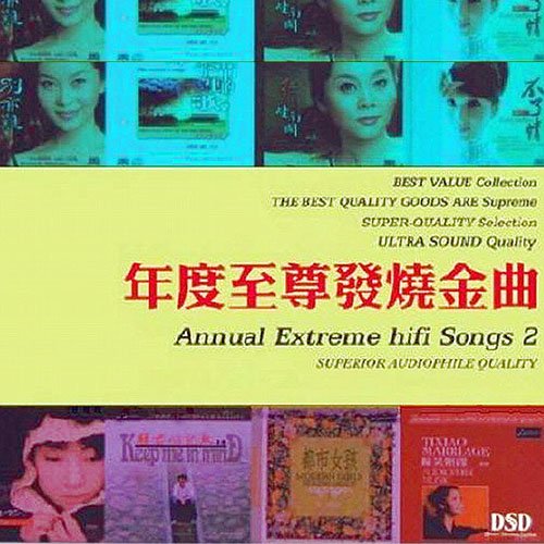 年度至尊发烧金曲2