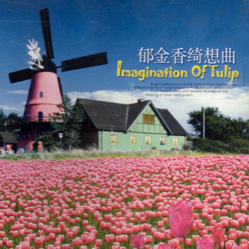 荷兰音乐之旅·郁金香绮想曲