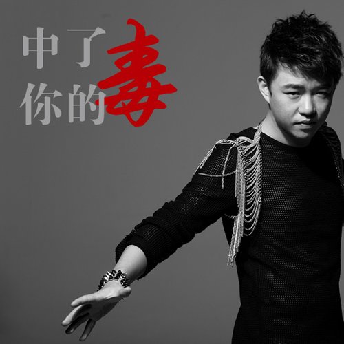 刘嘉亮-《中了你的毒》