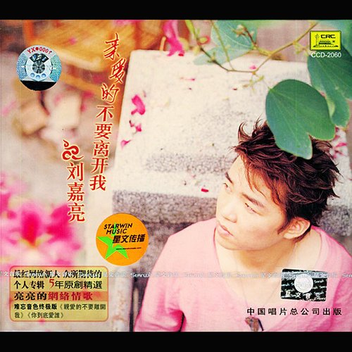 刘嘉亮-《亲爱的不要离开我》