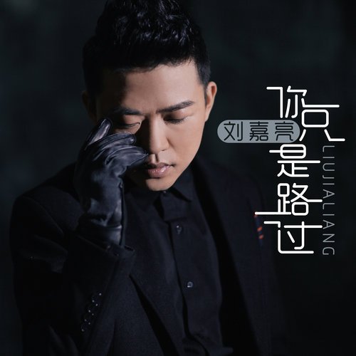 刘嘉亮-《你只是路过》