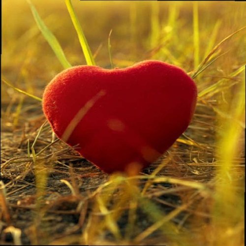 Owner of a Lonely Heart [2021]