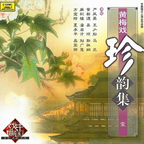 黄梅戏-《黄梅戏珍韵集》