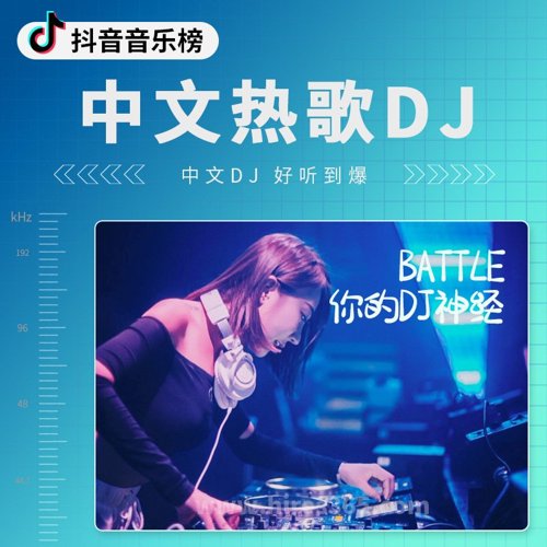 中文热歌DJ