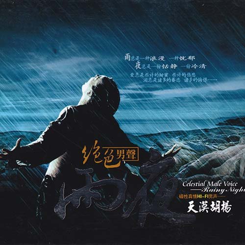 天漠胡杨 – 雨夜