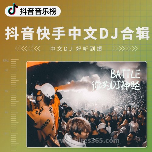 抖音快手中文DJ合集