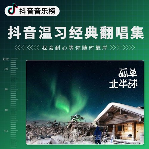 抖音温习经典翻唱集