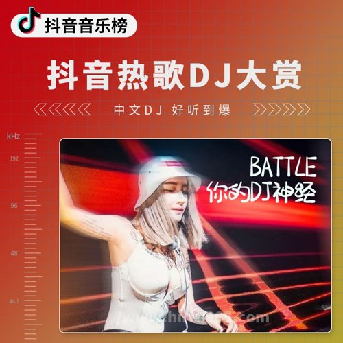 抖音热歌DJ大赏