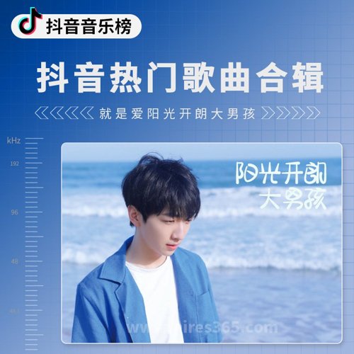 抖音热门歌曲合辑