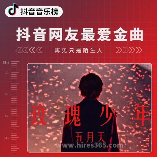 抖音网友最爱金曲