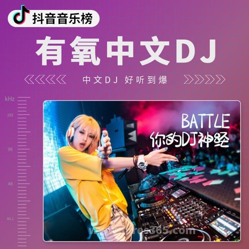 有氧中文DJ