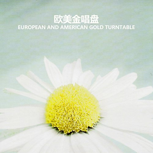 欧美金唱盘
