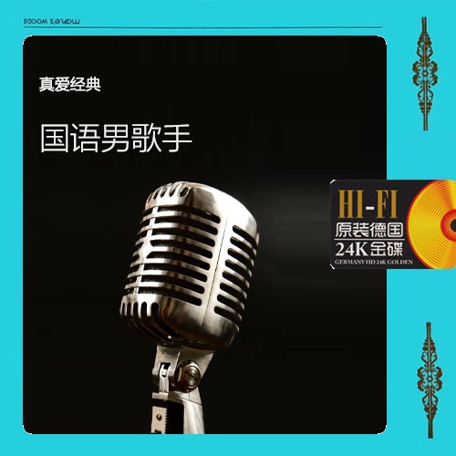 真爱典藏(国语男人)