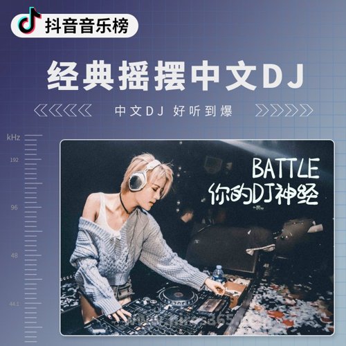 经典摇摆中文DJ