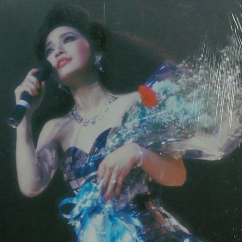 徐小凤-《85演唱会精选》