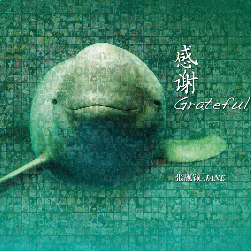张靓颖-《感谢》