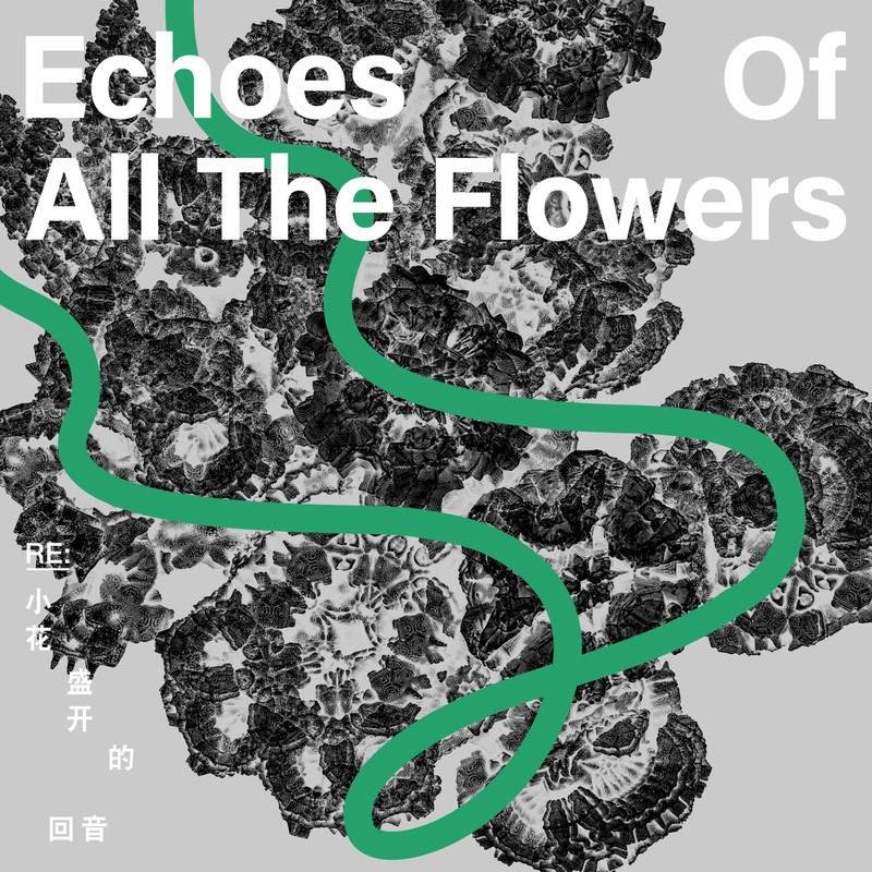 刘若英-《Re：小花盛开的回音》